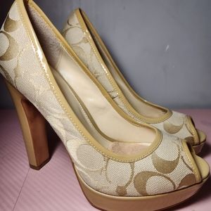 Coach Pumps (Size 6)